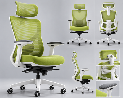 Siège Ergonomique Synchrone — Édition Workspace Vitalité